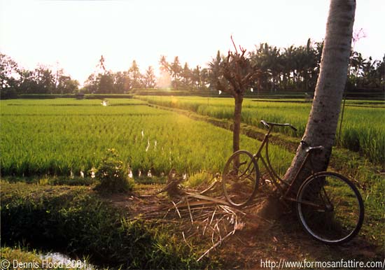 Bali cycling photo by Dennis Flood